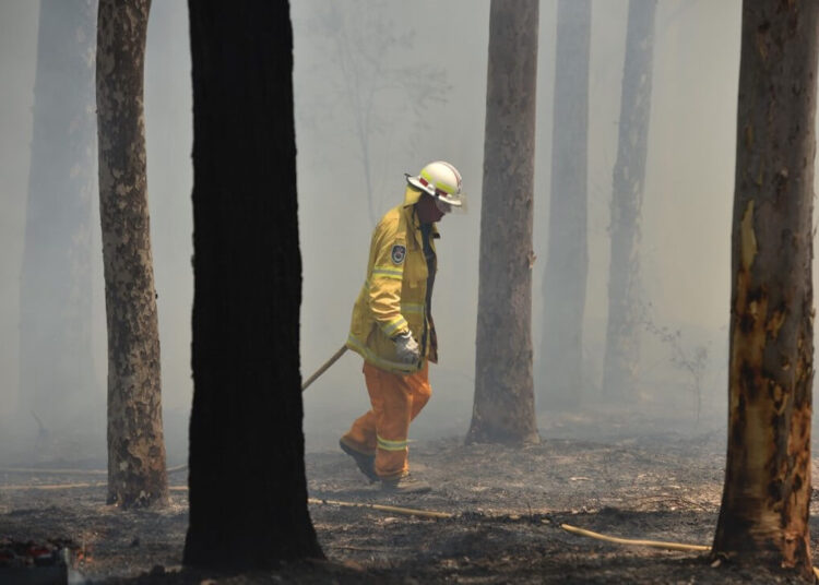 Firefighters tackle a bushfire near Batemans Bay in New South Wales on January 3, 2020. - With temperatures expected to rise well above 40 degrees Celsius (104 Fahrenheit) again on January 4, a state of emergency has been declared across much of Australia's heavily populated southeast in an unprecedented months-long bushfire crisis. (Photo by PETER PARKS / AFP)
