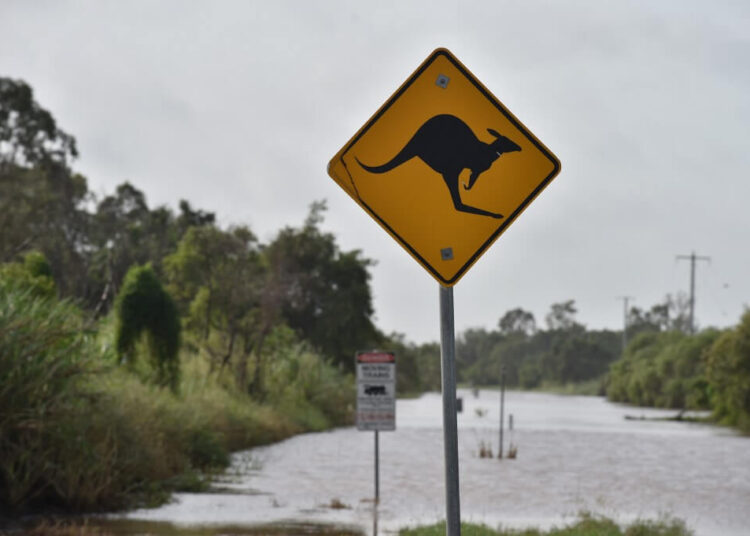A sign alerting drivers to look out for kangaroos is pictured as flooding from Burdekin River, which has risen some 10 metres, covers an area in Ayr in Queenland on March 30, 2017, after the area was hit by Cyclone Debbie. - Torrential rain hampered relief efforts on March 30 after a powerful cyclone wreaked havoc in northeast Australia, with floods sparking emergency rescues as fed-up tourists wait to be evacuated from resort islands. (Photo by PETER PARKS / AFP)
