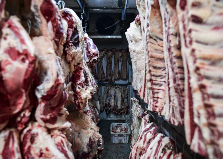 Pieces of meat are seen at a butcher's shop in Liniers neighborhood, Buenos Aires, on 18 May 2021. - Argentine meat producers announced on Tuesday they would stop selling beef and veal for one week in response to a month-long government suspension on exports due to rising prices on the domestic market. (Photo by RONALDO SCHEMIDT / AFP)