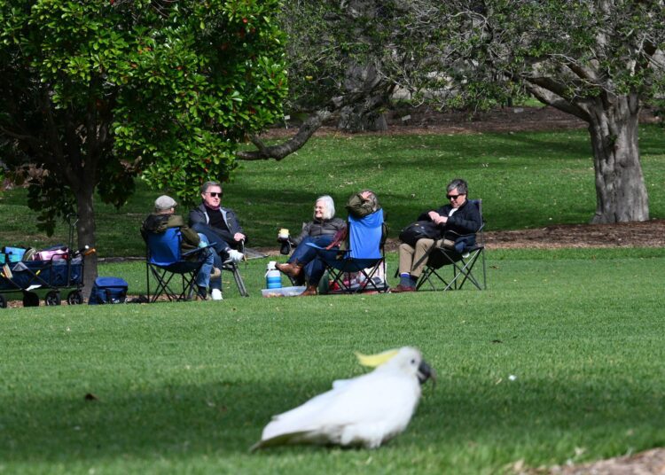 Families and friends enjoy their afternoon at the Botanic garden in Sydney on September 13, 2021 after Covid-19 pendamic picnic restrictions were lifted by the New South Wales state. (Photo by Saeed KHAN / AFP)