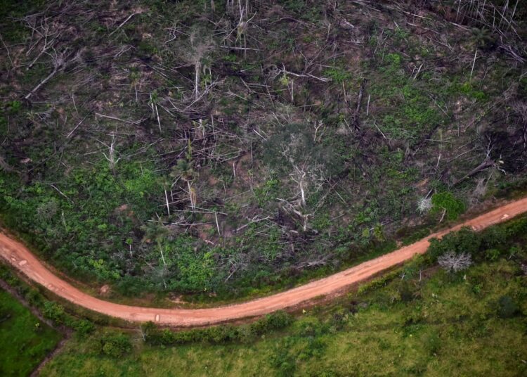 General aerial view of illegal deforestation at the Natural National Park in La Macarena, Meta Department, Colombia, on September 3, 2020. - Soldiers carry out the sixth phase of the Artemisa Campaign to combat deforestation in the Amazonian departments of southeastern of the country. (Photo by Raul ARBOLEDA / AFP)