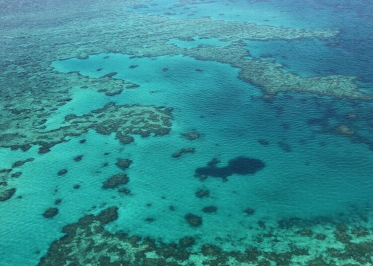 This photo taken on November 20, 2014 shows an aerial view of the Great Barrier Reef off the coast of the Whitsunday Islands, along the central coast of Queensland.  The Great Barrier Reef Marine Park encompasses about 99 percent of the World Heritage-listed natural wonder, with the additional one percent outside the marine park but within the heritage-listed area -- about 3,600 square kilometres (1,390 square miles) -- being managed by the Queensland state government and includes most islands and ports, as well as lakes and other waterways.       AFP PHOTO / SARAH LAI (Photo by Sarah Lai / AFP)