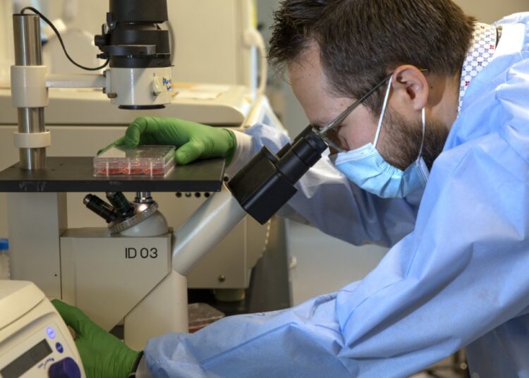SEATTLE, WA - DECEMBER 11: Dr. Jesse Erasmus checks a serum sample he diluted under a microscope in a microbiology lab at the University of Washington School of Medicine on December 11, 2020 in Seattle, Washington. The serum samples were collected from animals that received a replicon, or replicating, RNA vaccine that's being developed to combat Covid-19 (SARS-CoV-2). Scientists are hoping this nucleic acid vaccine will only need one dose to be effective against the coronavirus and that it won't need to be stored in a deep freeze. This replicon RNA vaccine has been tested on mice and macaque monkeys and is in early stage clinical development with HDT Bio who will be leading the clinical trials of it in the United States. The serum samples Dr. Erasmus is working on will help determine the quantity of neutralizing antibodies.   Karen Ducey/Getty Images/AFP (Photo by Karen Ducey / GETTY IMAGES NORTH AMERICA / AFP)